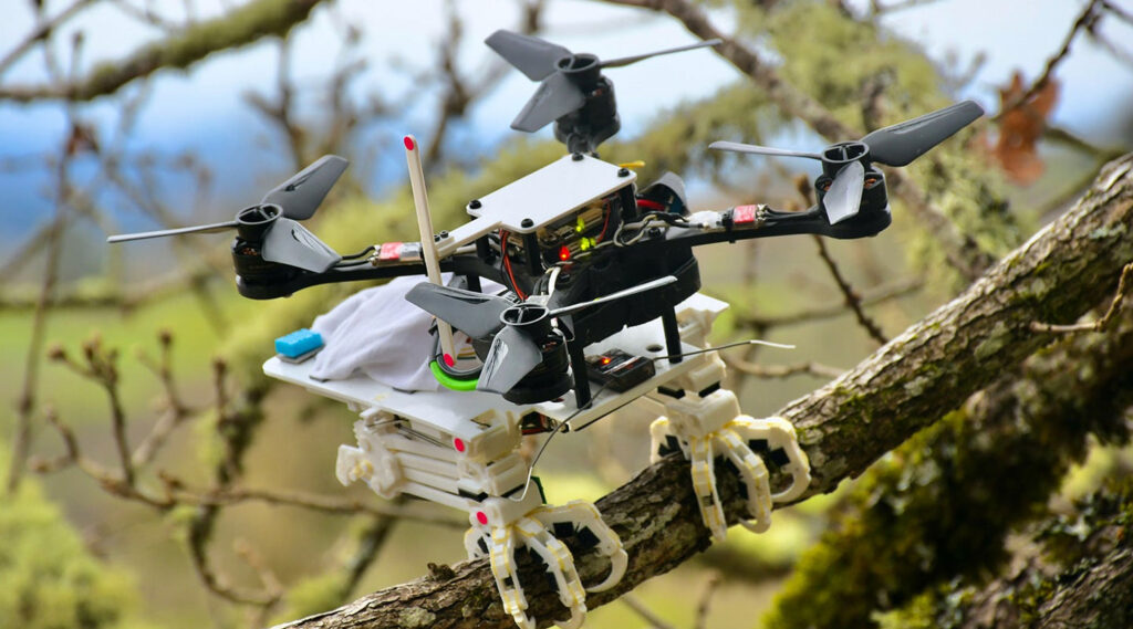 This Stanford drone has bird legs for perching