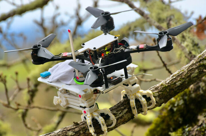 This Stanford drone has bird legs for perching